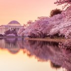 A Spring Weekend in Washington D.C