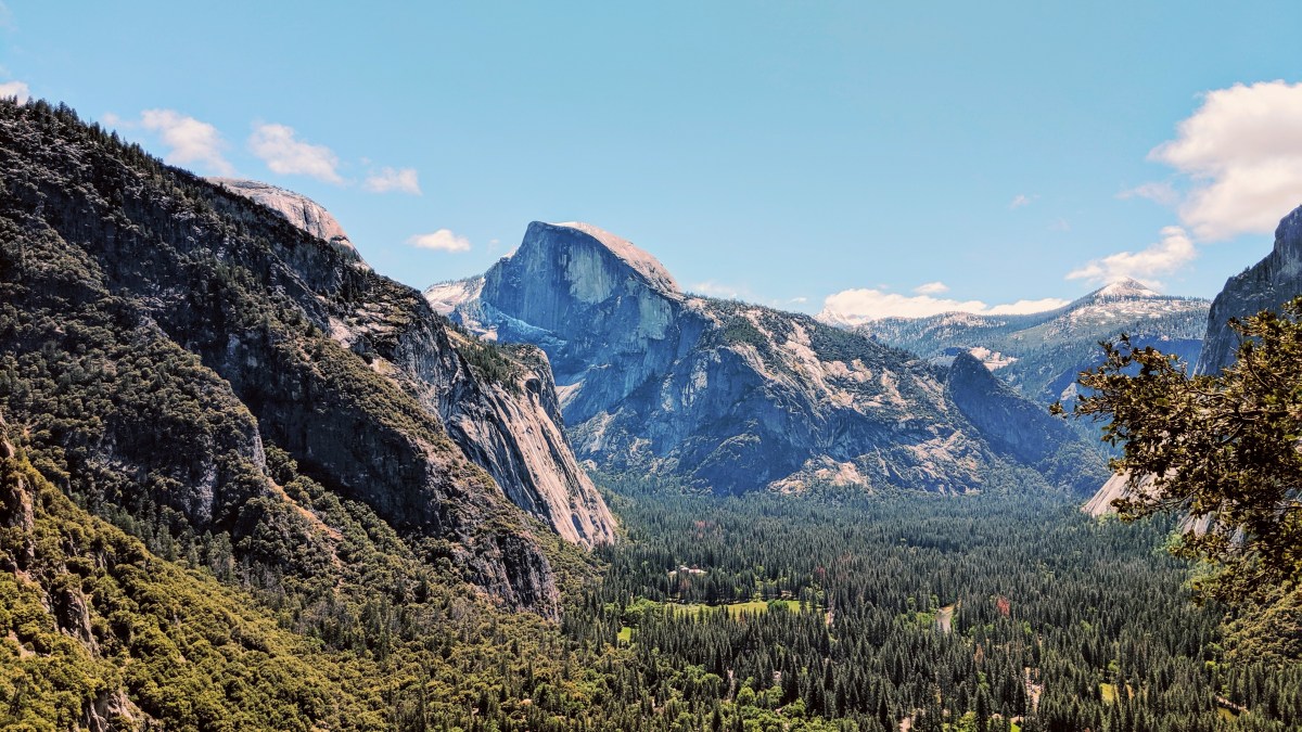 Reasons Why I Would Go Back To Yosemite National Park
