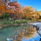 A Texan Fall Foliage