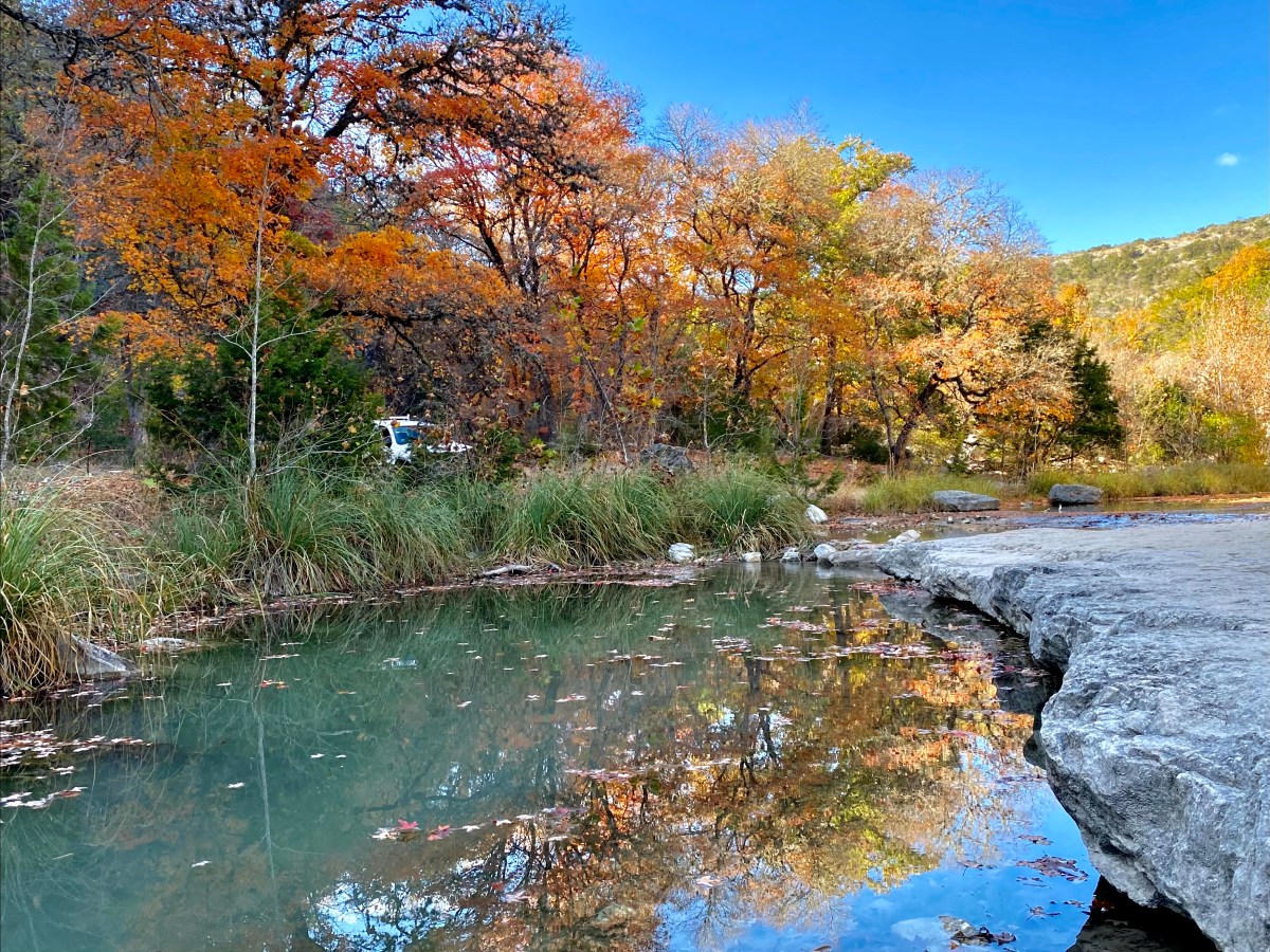 A Texan Fall Foliage
